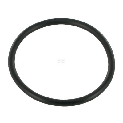 Pierścień uszczelniający o-ring 195522M1KR | Exvi