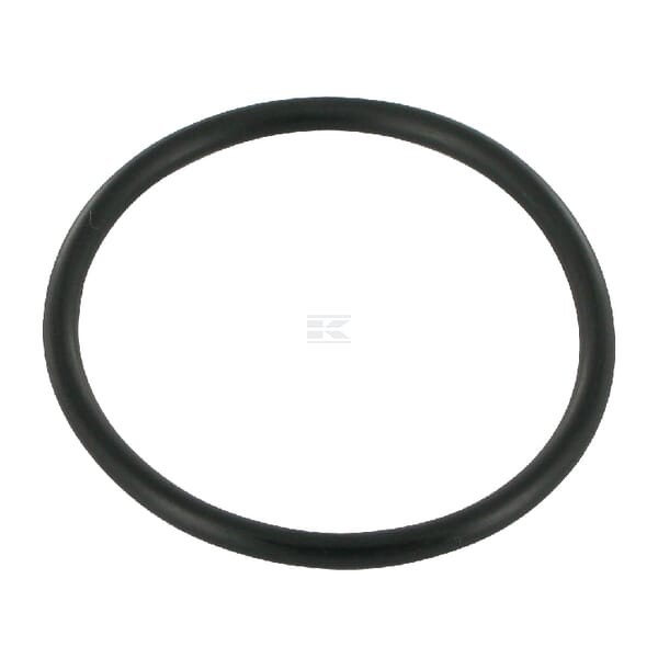 Pierścień uszczelniający o-ring 195522M1KR | Exvi