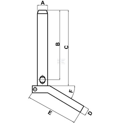 Sworzeń z uchwytem 19x263 mm 886162M1N | Exvi