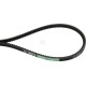 Pasek klinowy 3808704M1AB | Exvi