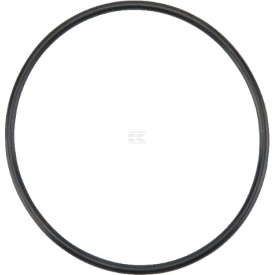 Uszczelka pompy paliwowej MF 4222834 | Exvi