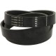 Pas klinowy wielorowkowy 01183898 | Exvi