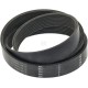 Pas klinowy wielorowkowy 01183905 | Exvi