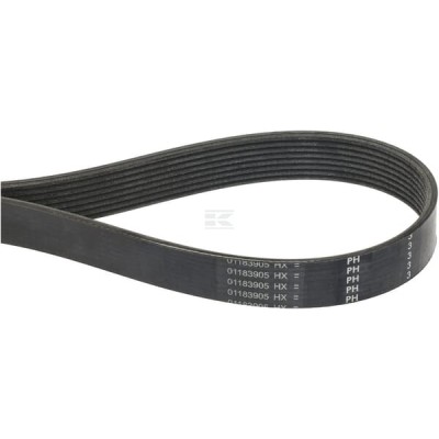 Pas klinowy wielorowkowy 01183905 | Exvi