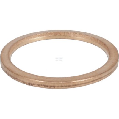 Pierścień uszczelniający 01118700 | Exvi