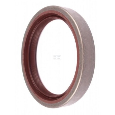 Uszczelniacz B1VISLSFRD 65x85x13 FKM 02234133 | Exvi