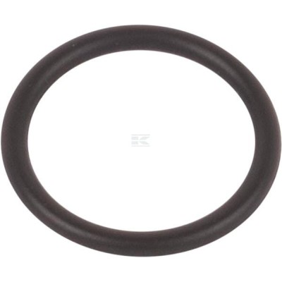 Pierścień uszczelniający o-ring 246690707N | Exvi