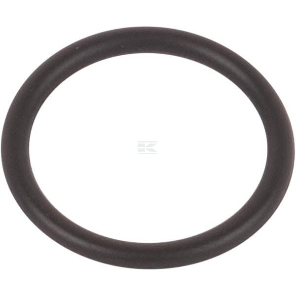 Pierścień uszczelniający o-ring 246690707N | Exvi