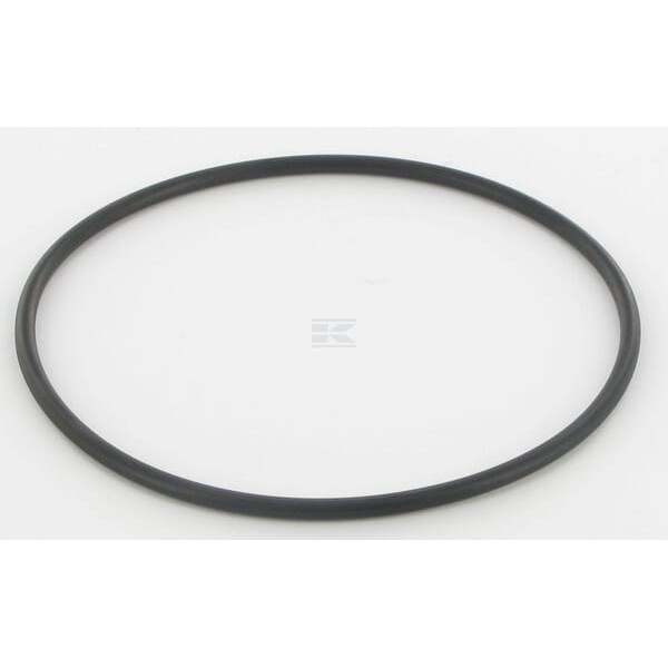 Uszczelniacz oleju 01161643 | Exvi