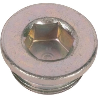 Korek M22x1.5 231200024N | Exvi