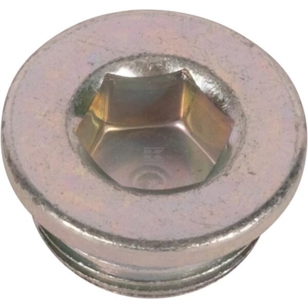 Korek M22x1.5 231200024N | Exvi