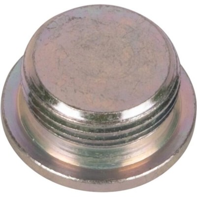 Korek M22x1.5 231200024N | Exvi