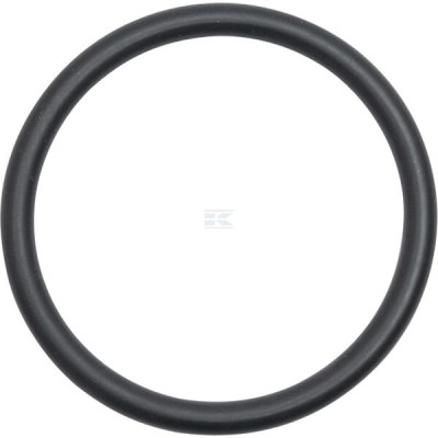 Uszczelniacz oleju 1004637 | Exvi