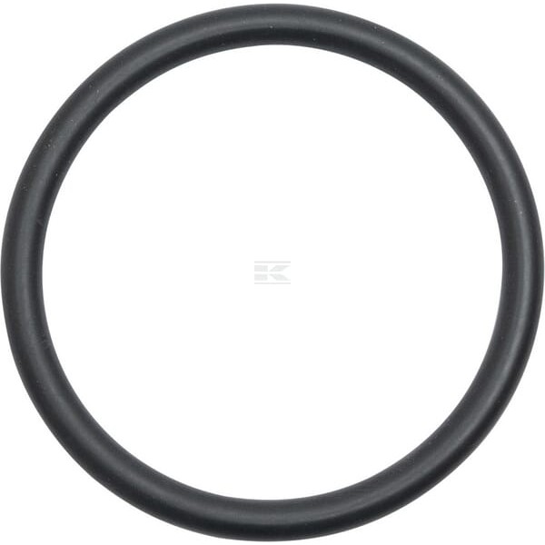 Uszczelniacz oleju 1004637 | Exvi