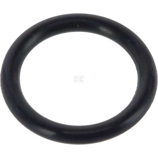 Pierścień uszczelniający o-ring 831452M1 | Exvi