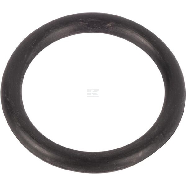 Pierścień uszczelniający o-ring 195631M1 | Exvi