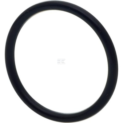 Pierścień uszczelniający o-ring CI028131 | Exvi