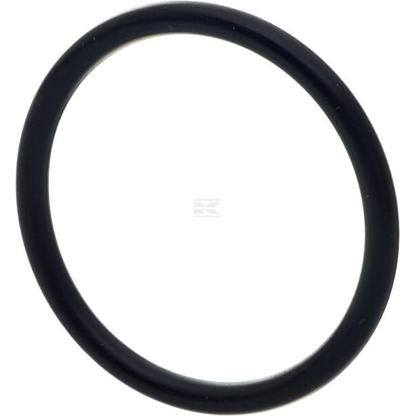 Pierścień uszczelniający o-ring CI028131 | Exvi
