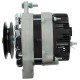 Alternator 14V 65A ALT2625137 | Exvi