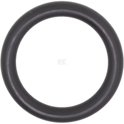 Pierścień uszczelniający o-ring X548861000000 | Exvi