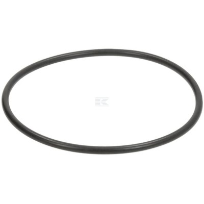 Pierścień uszczelniający o-ring Fendt X548977501000 | Exvi