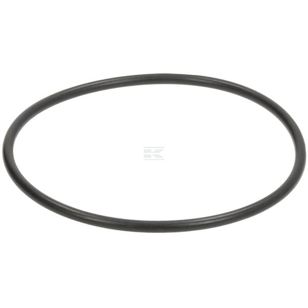 Pierścień uszczelniający o-ring Fendt X548977501000 | Exvi