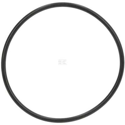 Pierścień uszczelniający o-ring Fendt X548977501000 | Exvi