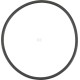 Pierścień uszczelniający o-ring X548953166000 | Exvi