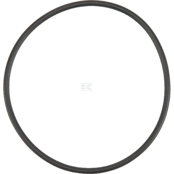 Pierścień uszczelniający o-ring X548953166000 | Exvi