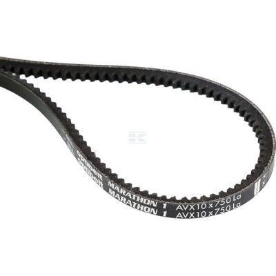 Pas klinowy uzębiony Optibelt, AVX 10x750 AVX10750 | Exvi