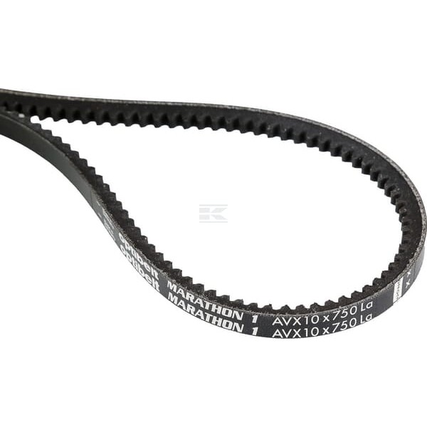 Pas klinowy uzębiony Optibelt, AVX 10x750 AVX10750 | Exvi