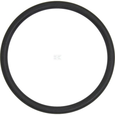 Pierścień uszczelniający o-ring X548958466000 | Exvi