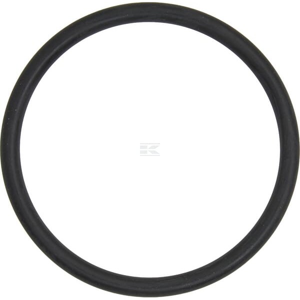 Pierścień uszczelniający o-ring X548958466000 | Exvi