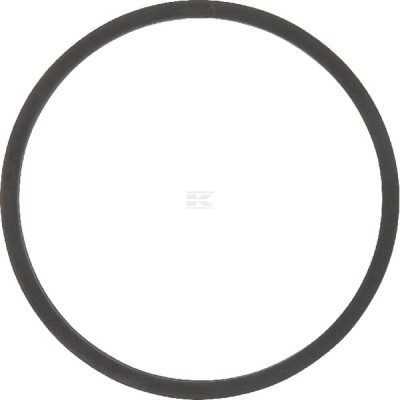 Uszczelka termostatu F119200050050 | Exvi