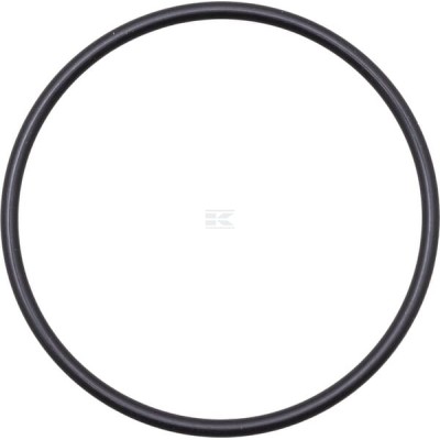 Pierścień uszczelniający o-ring F178950010040 | Exvi