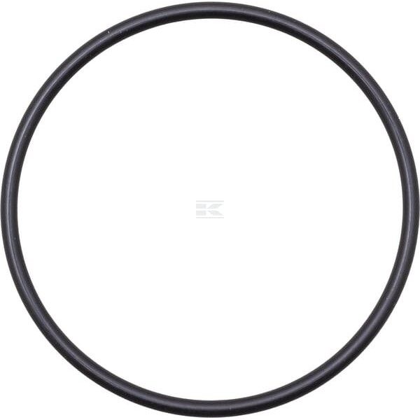 Pierścień uszczelniający o-ring F178950010040 | Exvi
