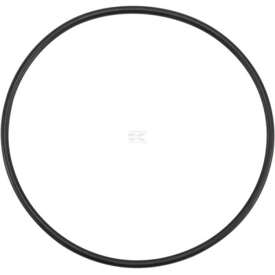 Pierścień uszczelniający o-ring X548960666000 | Exvi