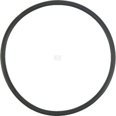 Pierścień uszczelniający o-ring X548941966000 | Exvi