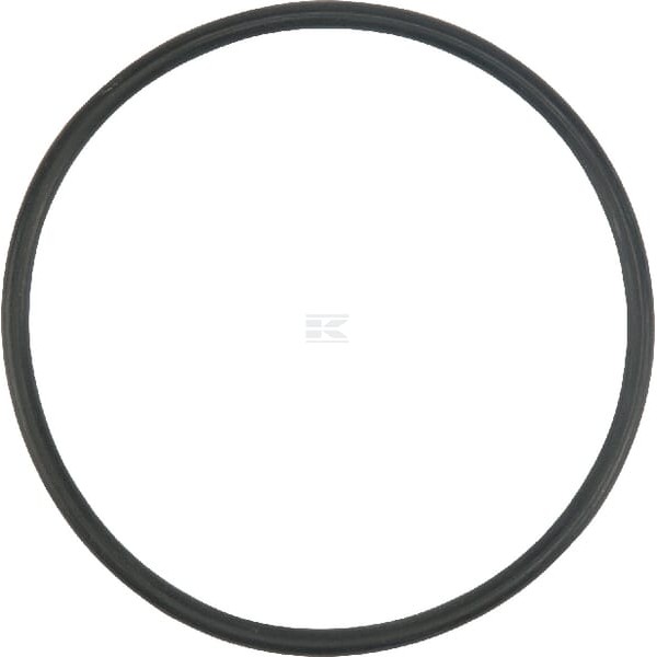 Pierścień uszczelniający o-ring X548941966000 | Exvi