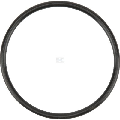 Uszczelka termostatu F716201050030 | Exvi