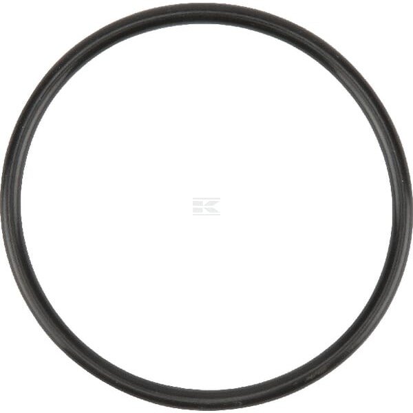 Uszczelka termostatu F716201050030 | Exvi