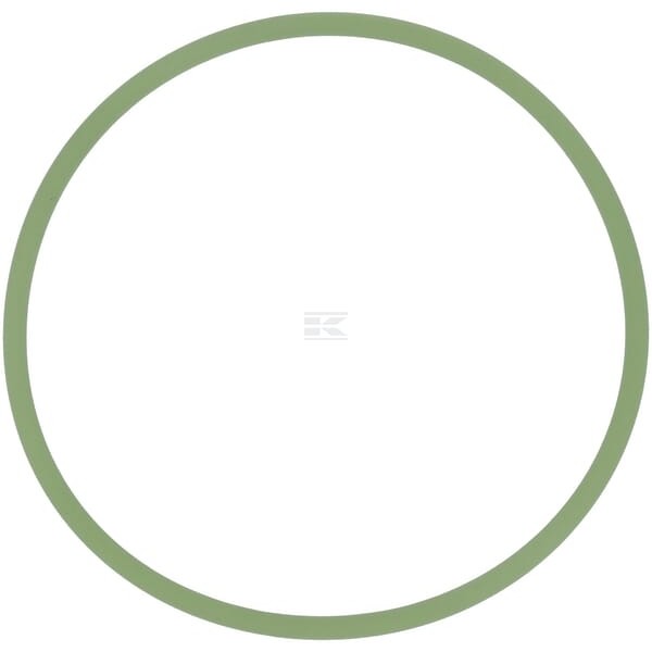 Pierścień uszczelniający o-ring X548953115000 | Exvi