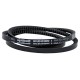 Pas klinowy uzębiony Optibelt, AVX 10x1425 AVX101425 | Exvi