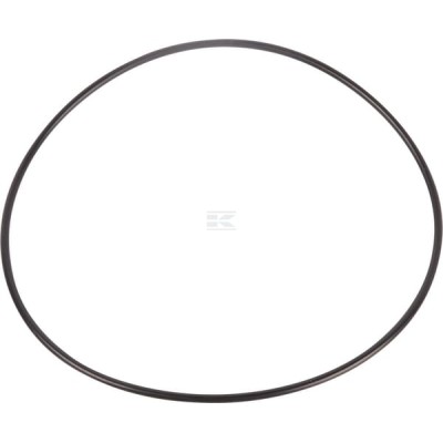 Pierścień uszczelniający o-ring 001053333 | Exvi