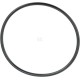 Pierścień uszczelniający o-ring F339860060010 | Exvi