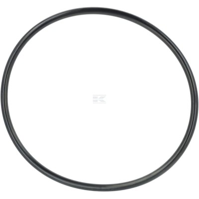 Pierścień uszczelniający o-ring F339860060010 | Exvi
