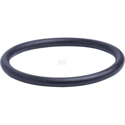 Pierścień uszczelniający o-ring 215301460N | Exvi