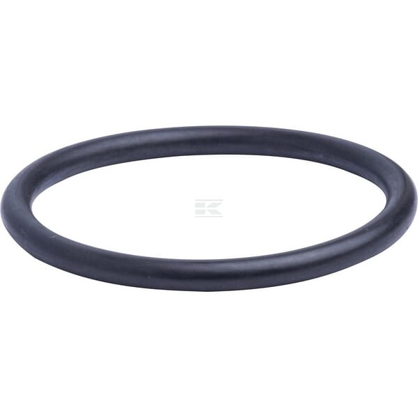 Pierścień uszczelniający o-ring 215301460N | Exvi