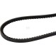 Belt AV10 L 835 mm 24119146010 | Exvi