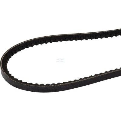 Belt AV10 L 835 mm 24119146010 | Exvi